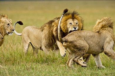 《太阳帝国的原罪2》进入抢先体验 但现在还不好玩