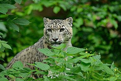 《雅达利50：周年纪念扩展版》面向各大平台公布