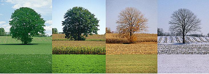 《Apex英雄》将推出更多限时模式 重生将用此测试新想法